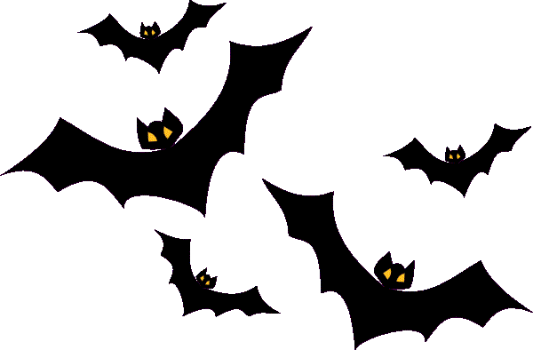 bats